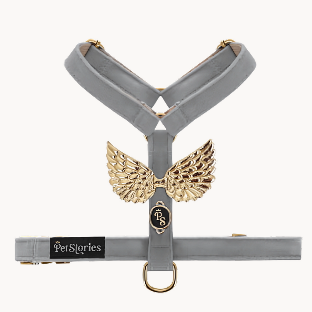 Wings Black Velour Harness