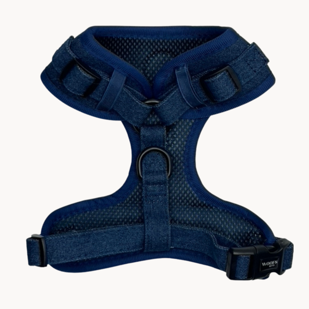 Denim Dog Harness