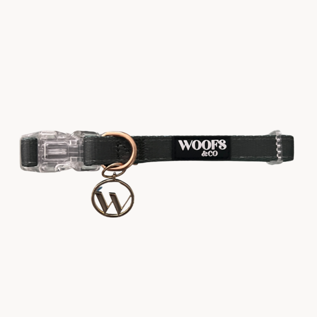 Khaki Dog Collar with Charm