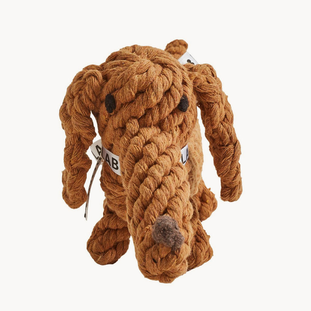 Diego the Dachshund Cotton Dog Toy