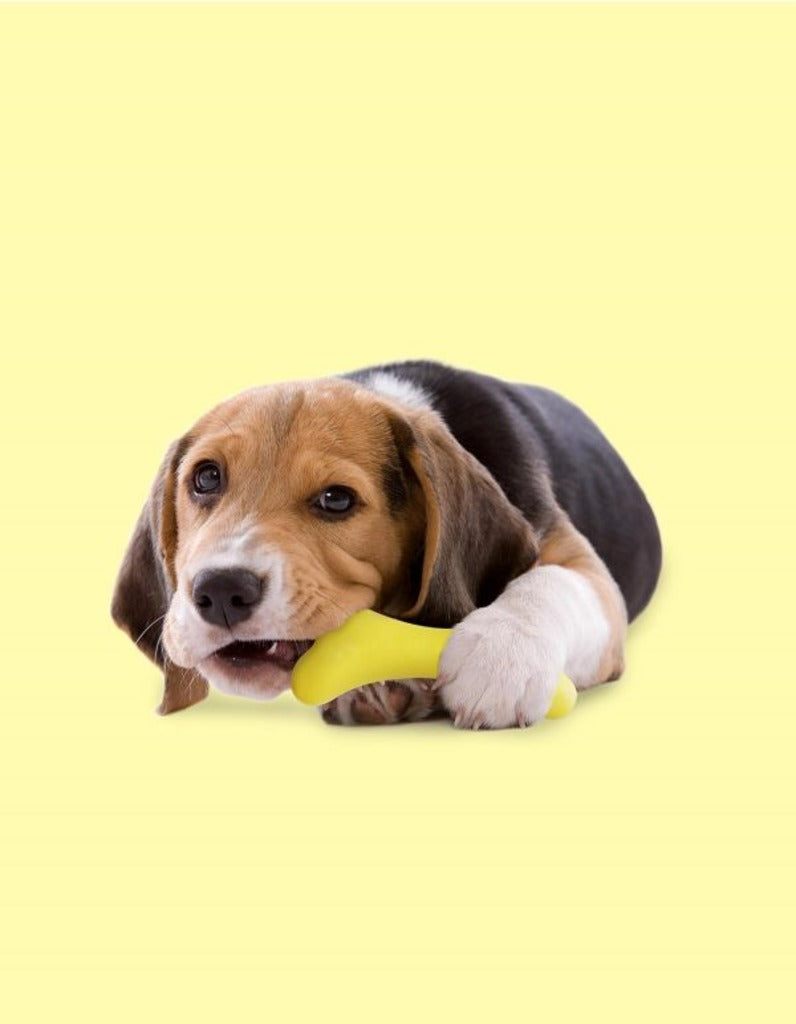 Gustosso Yellow Chew Toy for Dogs