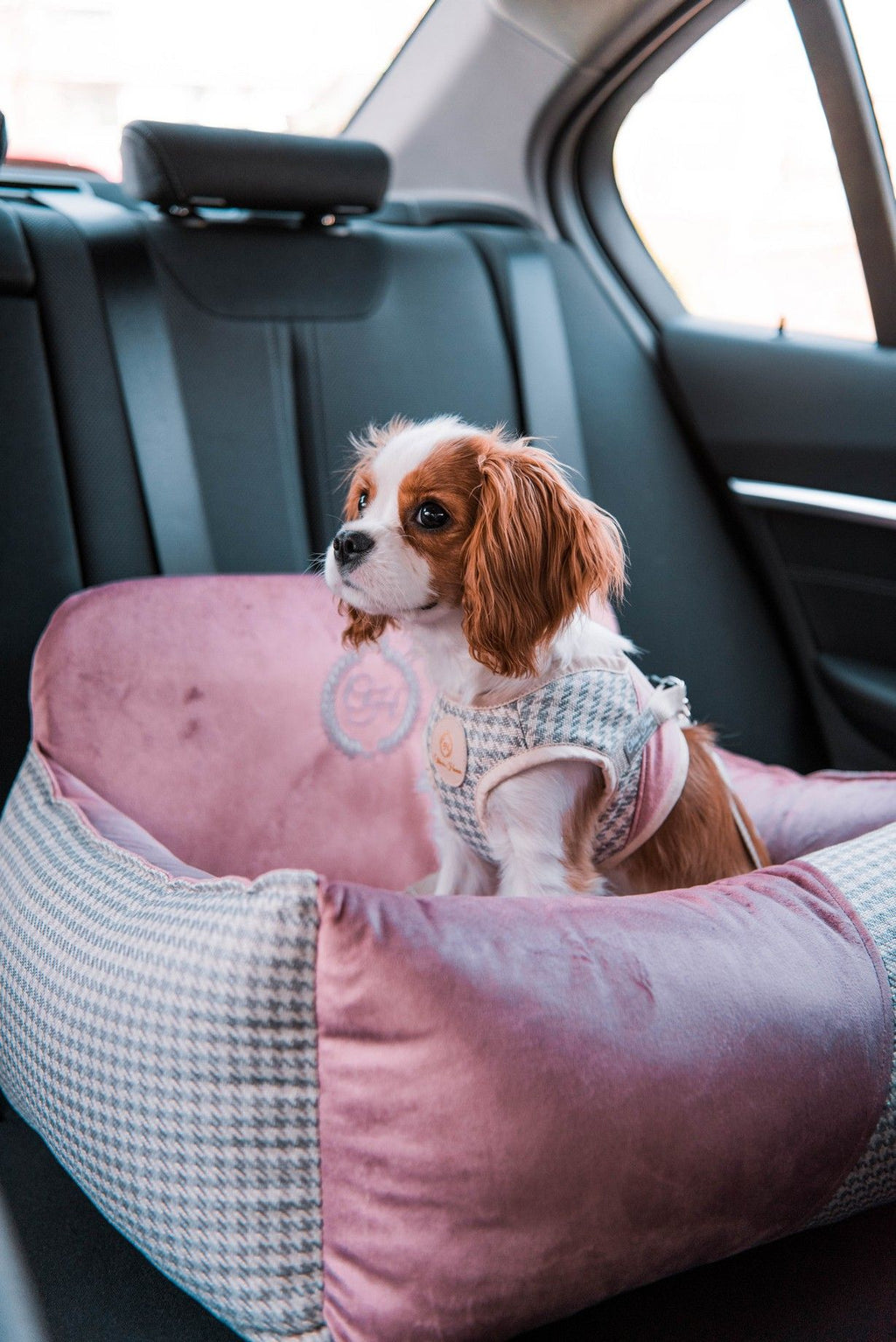 Porto Black Pet Car Seat