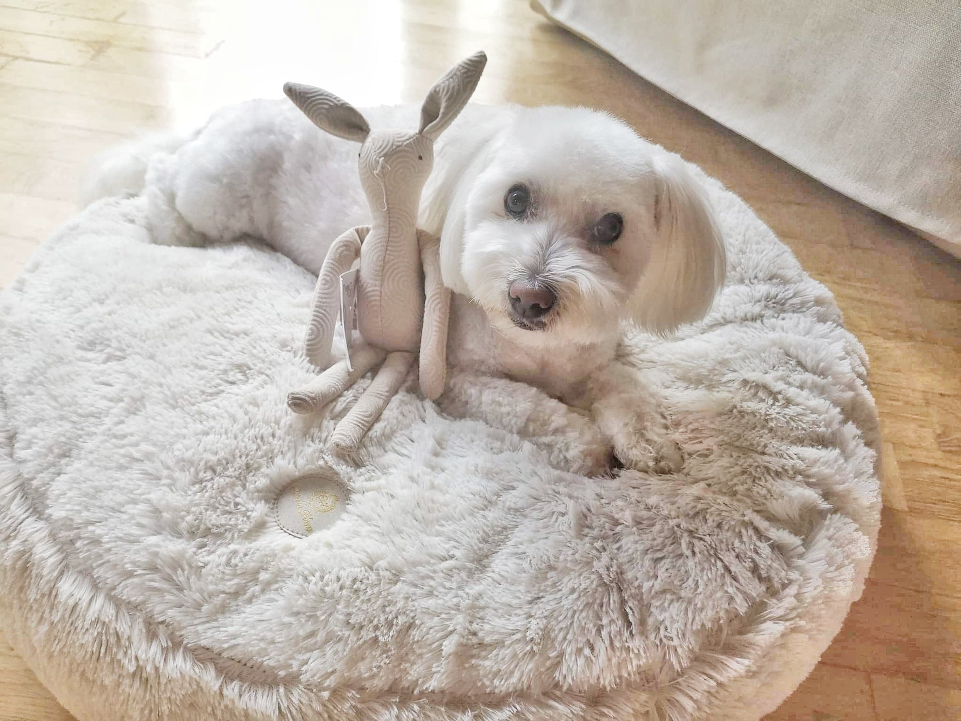 Petersburg Ecru Pet Bed