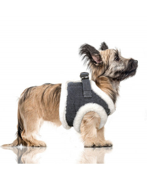 Tyler Puff Jacket Harness for Dogs