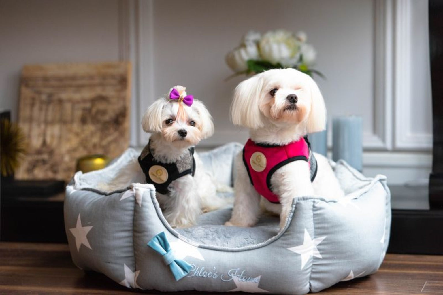Los Angeles Pet Bed